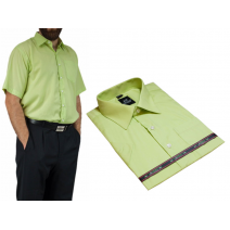 Koszula męska pistacjowa zielona BAWEŁNA z krótkim rękawem
